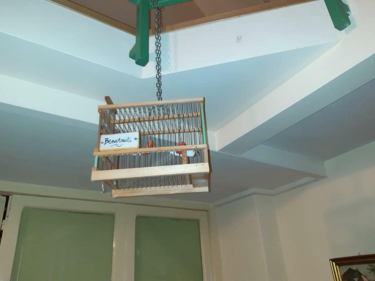 סלרנו B&B Il Nespolo מראה חיצוני תמונה